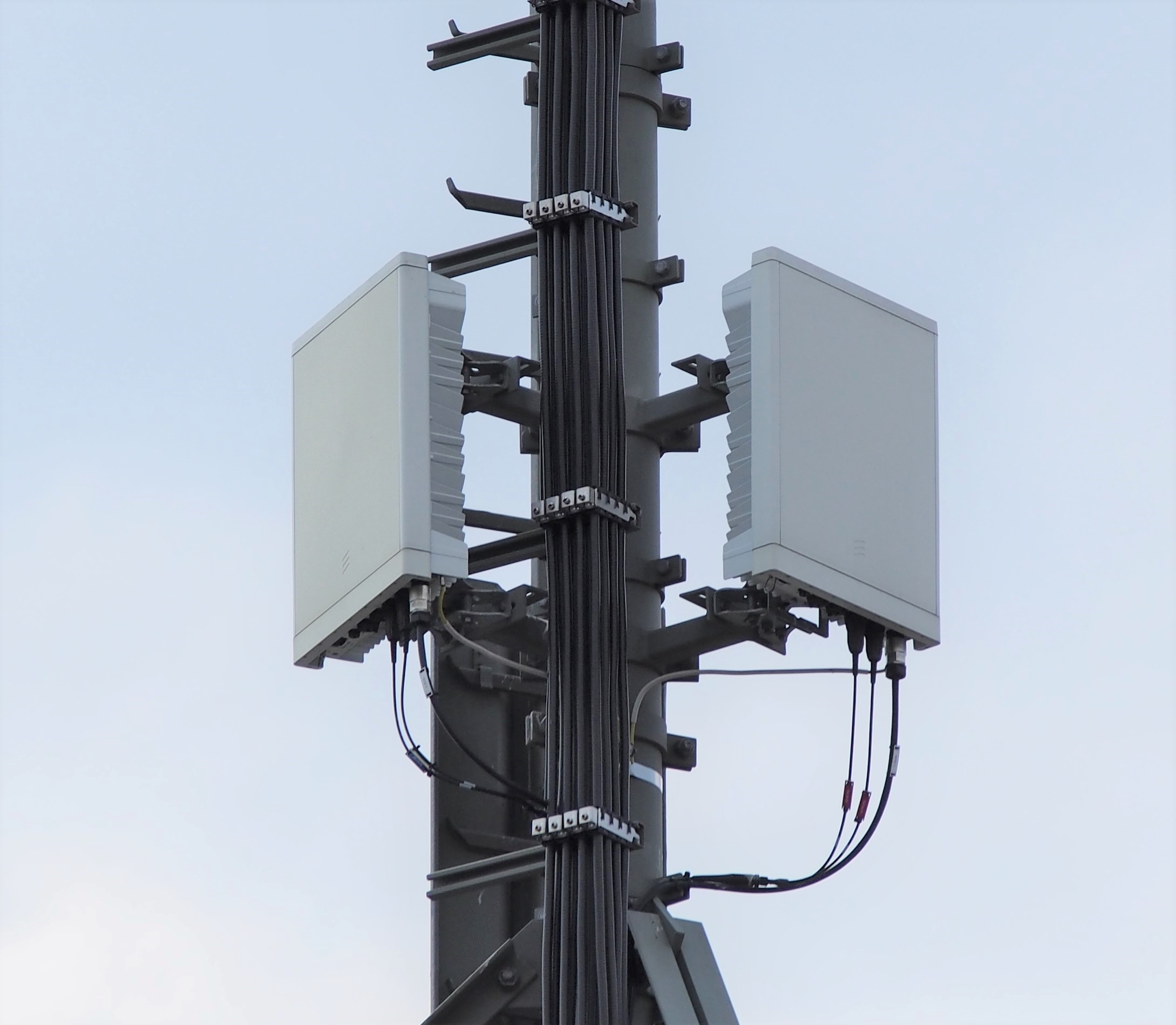 Reference photo: antenna detail